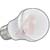 Wamco Inc. - WL-L07A19-W27 - Dimmable 360 430 lumens 7W 120VAC Warm White A19 E26 Lighting,LED Lamp|70244295 | ChuangWei Electronics