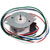 Crouzet Automation - 82910003 - 6Wires 0.19A 12.7VDC 20mNm Crouzet Unipolar PermanentmAgnet Stepper Motor 7.5deg|70520495 | ChuangWei Electronics