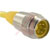 TURCK - RSM 50-2M - 5 x 18 AWG Nickel-Plated Brass PVC Cable Male 5 9 A 300 V Cordset|70036015 | ChuangWei Electronics